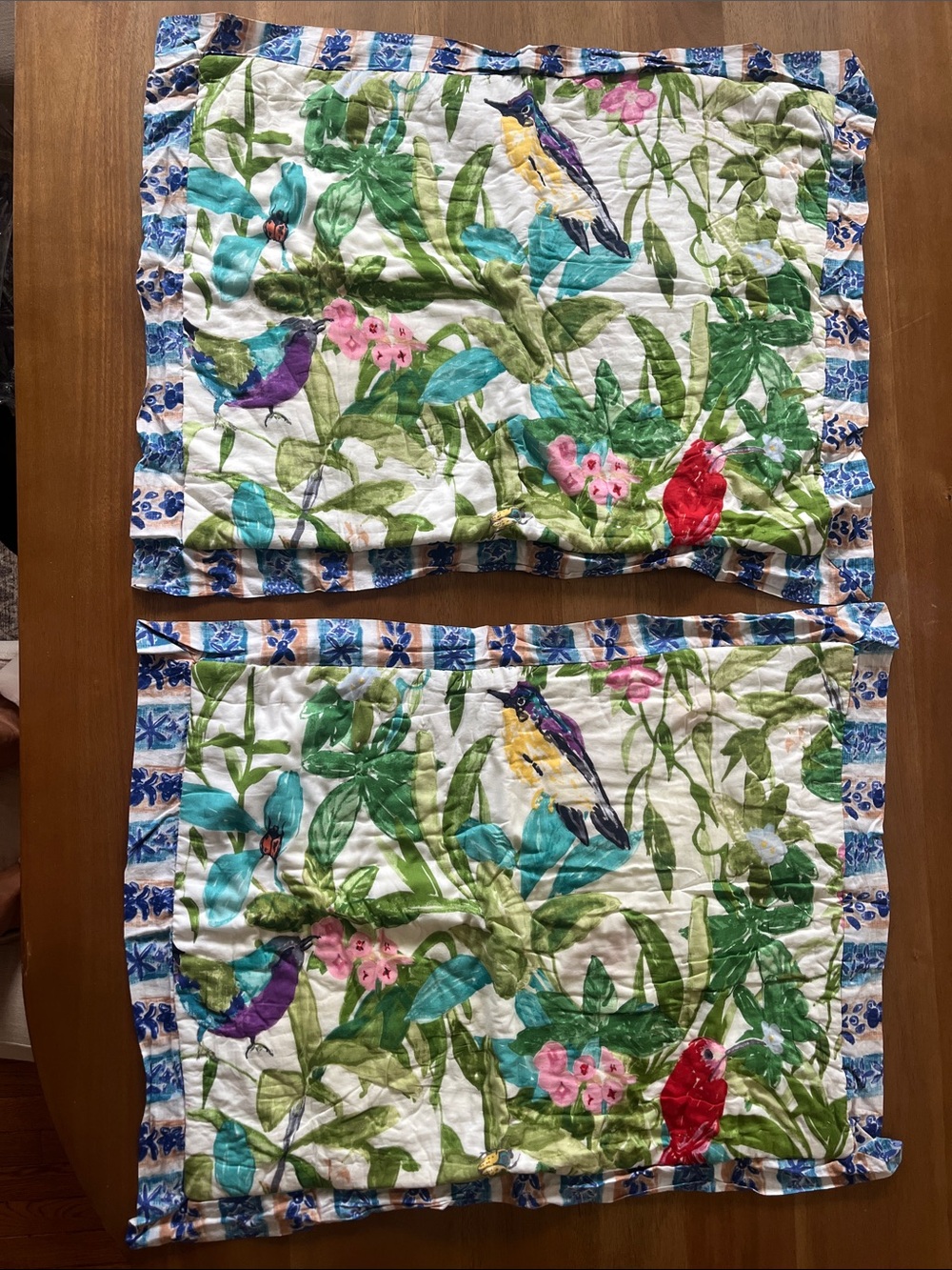 Anthropologie Pillow Shams